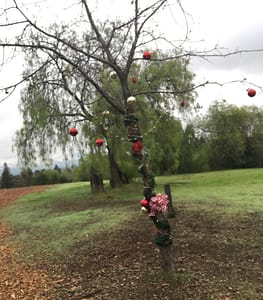 Decorated Tree 2018 Photo of tree along trail with ornaments