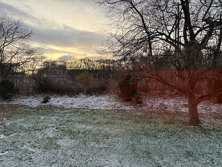 A photograph of a backyard with a low hill in the back. The grass, trees, and bushes are all dusted with a light coating of snow.