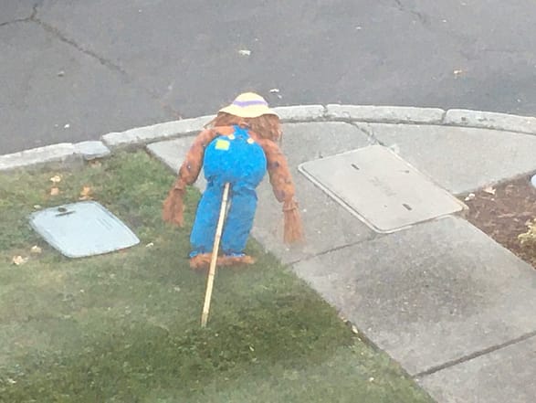 Fallen scarecrow Photo taken from above of a figure in a floppy straw hat and blue pants face down as if in a pushup position