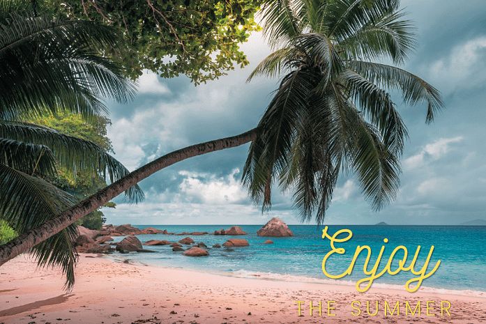 Enjoy the Summer A palm tree stretches out across a beach next to bright turquoise water. Text says Enjoy the summer