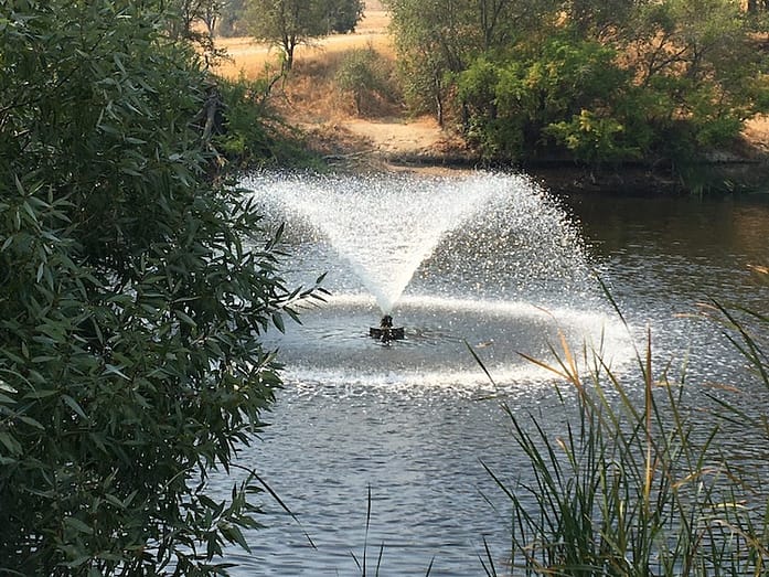 Water fountain 1 Photo with bushes on the left and green reed grass on the right of a view of a small pond with a fountain throwing water up in a cone shape and the falling water forming a white circle around the fountain.