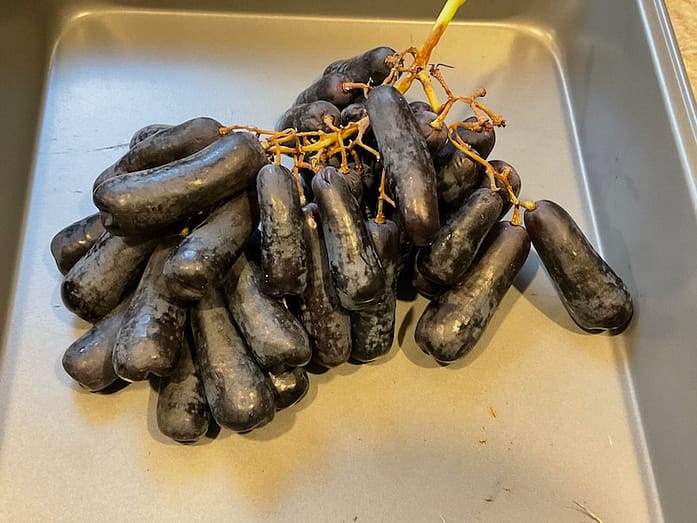 Moon Drop Grapes A photo of elongated, dark purple grapes resembling small eggplants. They are resting in a metal pan.