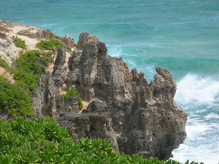Hawaii Rocks Ocean Volcanic rocks against a the background of blue ocean with green foliage in the front left corner.