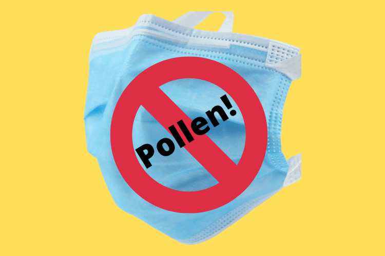 Image of a blue paper face mask on a yellow background. Across the mask is the text Pollen! covered by a red circle with a line through it.
