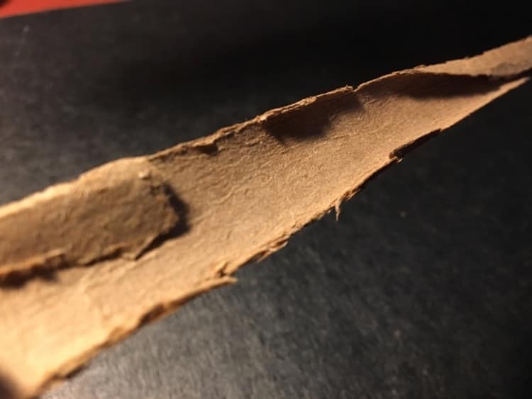 IMG_2826 Piece from the inside of a book's spine