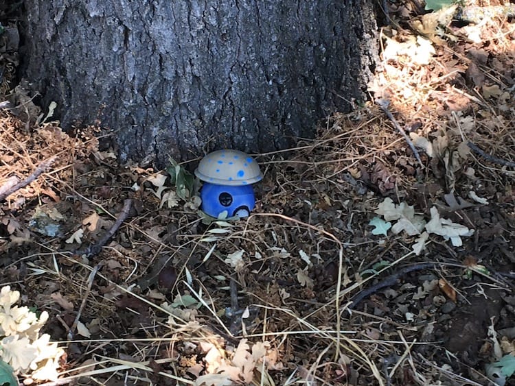 Blue toadstool Photo of a small blue toadstool with a gray arched top that has blue polka dots on it. There's a tiny door and window carved in the trunk of the toadstool. The toadstool is placed at the base of a tree.