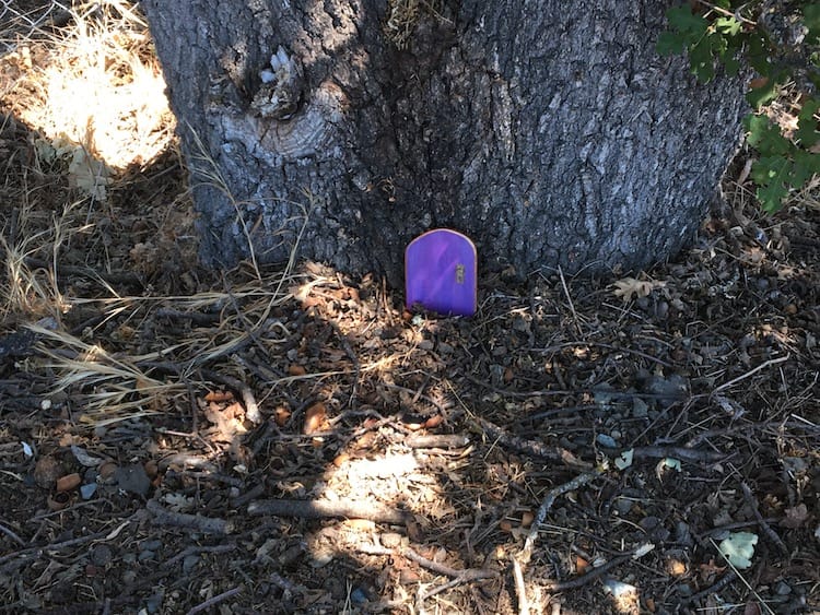 Purple door A photo of a small purple door made out of wood with a gold handle sitting at the base of a tree.