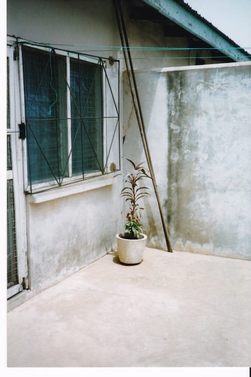 Africa_courtyard Corner of a courtyard with window on the left with metal security bars and a plant in a concrete planter in the corner